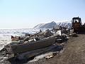 Alaska 2008 095